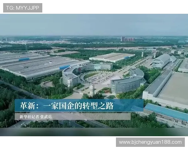 深圳乒乓球队防反革新之路探索与实践的深度剖析与未来展望